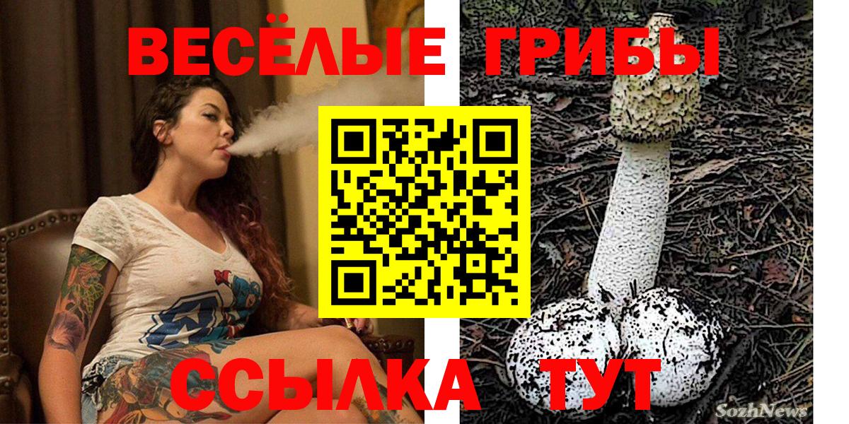 Галлюциногенные грибы ЛСД  что такое   Галлюциногенные грибы мицелий  Ростов Великий  Вход с VPN 