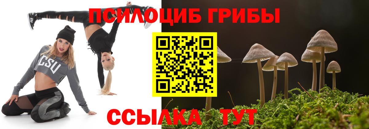 Псилоцибиновые грибы Psilocybe Ростов Великий
