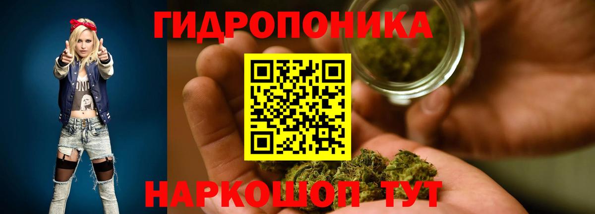 Бошки марихуана конопля  Шишки марихуана индика  Канабис OG Kush  Вход с VPN  Ростов Великий  Бошки Шишки Bruce Banner 